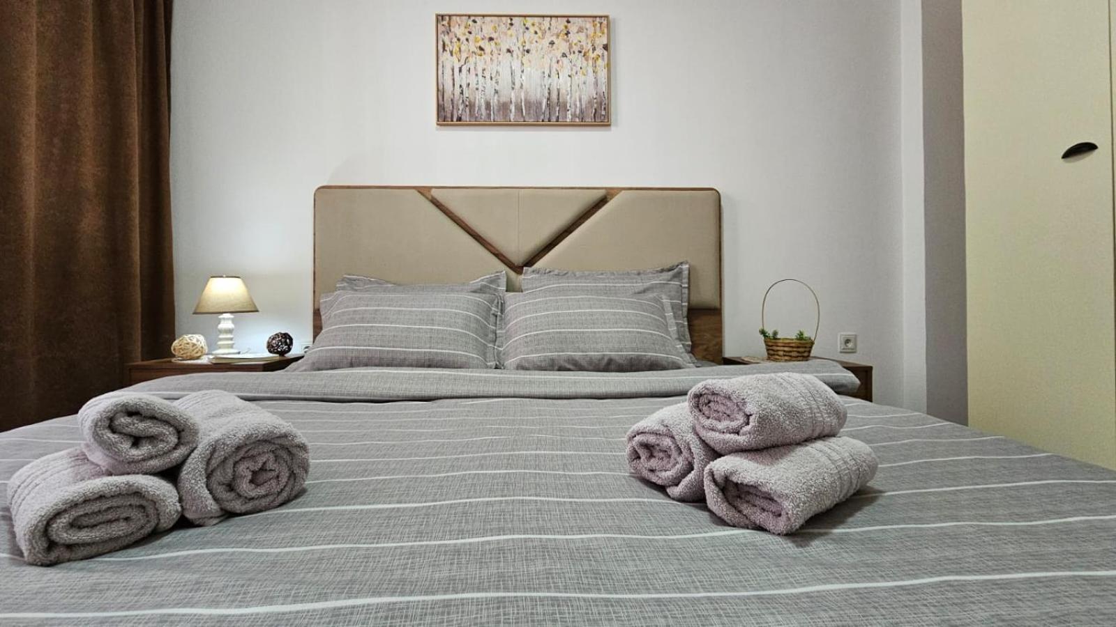Superb 1 Bedroom In The Best Zone Of The City. Ferizaj Eksteriør billede